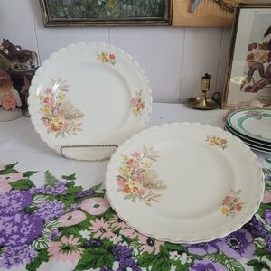 Vintage Floral Pattern Dinnerware Plates Set Of 2 England